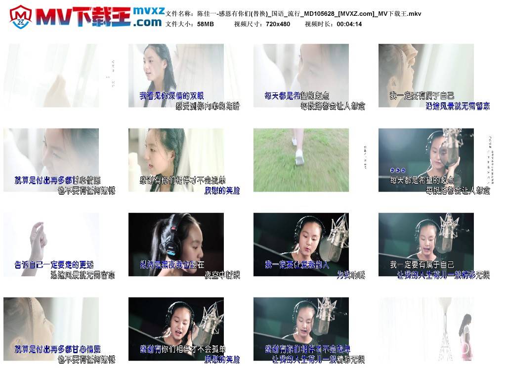 陈佳一-感恩有你们(替换)_国语_流行_MD105628